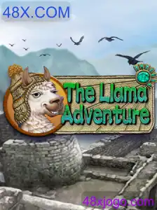 TheLlamaAdventure